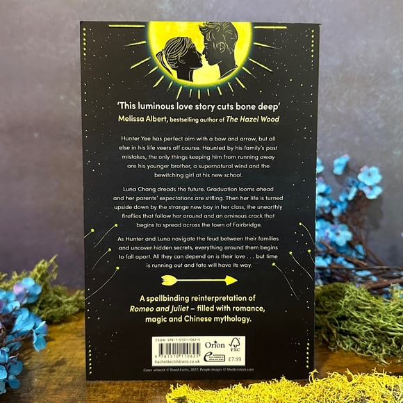 Fairyloot YA Box An Arrow to the Moon by Emily X.R. Pan - Picture 3 of 5